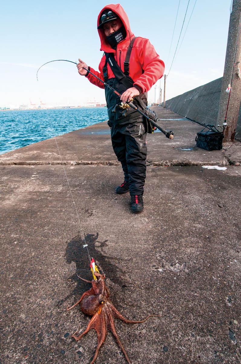 神奈川県／横浜沖堤 オカッパリマダコ釣り その1（全2回） | つり人